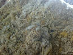 raw wool for carpet grade china raw