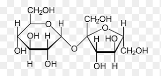 sucrose structural formula fructose