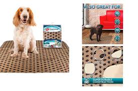 the 10 best washable dog pads of