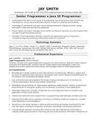 Sample Resume For An Experienced Computer Programmer