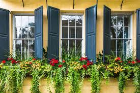 flower box ideas for your windows and patio