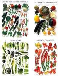 Vegetable Charts Vegetable Picture Posters Eatwell101