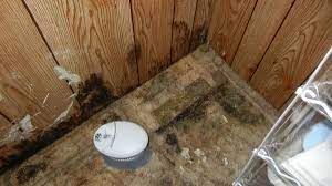 mold in mobile homes and your health