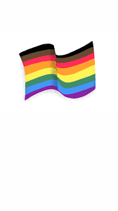what each lgbtq pride flag means