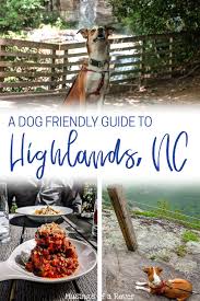 dog friendly weekend guide to highlands nc
