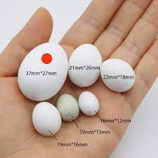 foiburely 5 pcs solid parrot dummy eggs hatching eggs mini macaw amazon atoo african grey eclectus trick the birds to stop laying eggs dummy