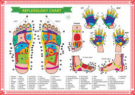 71 Organized Ear Reflexology Chart Download