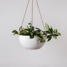 Hanging Planter Pot With Drainage Hole