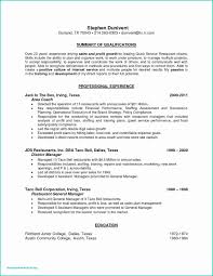 Social Worker Resume Summary Professional Experience Resume