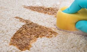 stain removal rug carpet cleaning