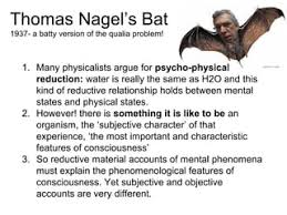 Nagel, bats, and the hard problem