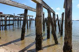 pier piling protection understanding