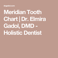 Meridian Tooth Chart Dr Elmira Gadol Dmd Holistic