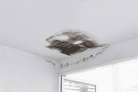 how to repair a leaking roof
