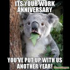 Happy work anniversary… i congratulate you on being getting promoted on your anniversary day. Work Anniversary Memes