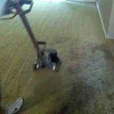 carpet cleaning fort myers florida
