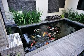 10 Amazing Indoor Koi Pond Ideas For