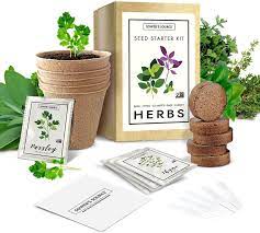The 9 Best Herb Garden Kits Of 2022