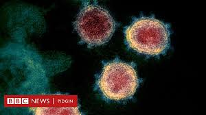 The pair tested on saturday after showing symptoms. Covid 19 501 V2 New Variant Of Coronavirus Dey For South Africa Bbc News Pidgin