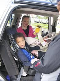 New Car Seat Guidelines Could Save