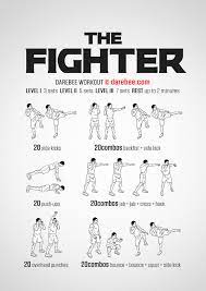 the fighter workout
