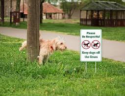 No Dog Poop Signs No Dog Signs