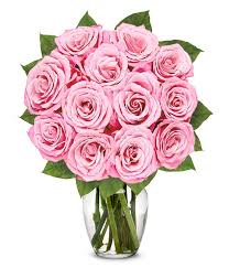 Pink flower emoji pink flower bouquet pink rose flower pink flower crown heart pink pink gradient pink football pink snowflake pink icon black pink. One Dozen Light Pink Roses At From You Flowers