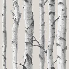 Brewster L And Stick Wallpaper Birch Tree