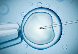 13 Most Effective And Helpful Ivf Success Tips