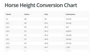 horse height conversion chart hands