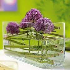 Rectangular Glass Planter Terrarium