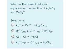 Which Is The Correct Net Ionic Equation