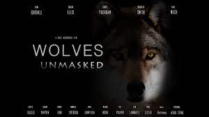 Wolves Unmasked 🐺 Wolf Documentary 2021🐺 Wolf Rewilding - YouTube