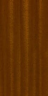 sapele the wood database hardwood