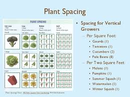 Chart For Square Foot Plant Spacing