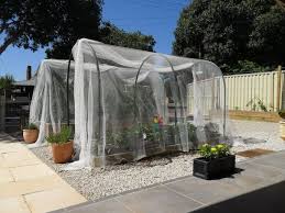 vegetable garden hoop houses
