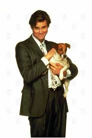 #x reader #requests open #dr. The Mask Cat Vs Dog Jack Russell Jim Carrey