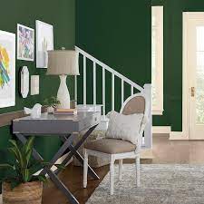 Pine Forest Flat Interior Paint