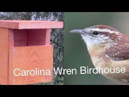 Build A Birdhouse For Ina Wrens