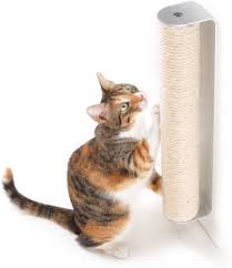 How to keep cats from scratching furniture home remedies. How To Keep Cats From Scratching Furniture Using Vinegar