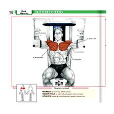 But, if you want to learn gym equipment names just to better understand what each machine does for your body, then keep reading. Gym Equipment Names With Pictures Descriptions