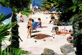 texas galveston island palm beach at