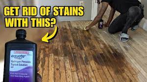 remove pet urine from hardwood floors