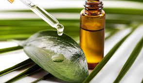 tea tree oil to treat fungal infections