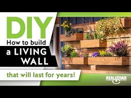 How To Build A Living Wall And Bring