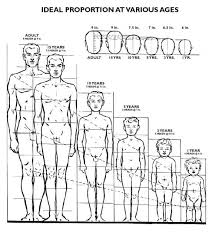 A Very Well Made Chart On Body Proportions Is Given By