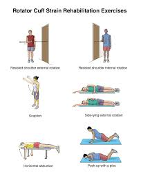 Please see your doctor or physical therapist and find your specific. Physiotherapy Exercises For Shoulder Exercisewalls