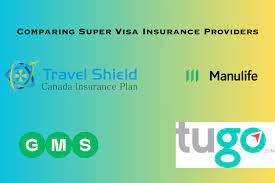Parent Super Visa Insurance gambar png