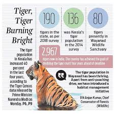 India Home To 2 967 Tigers Says Census Revealed On Global