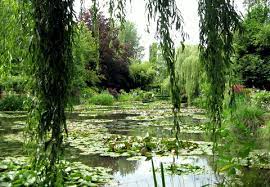 Giverny Monet S Water Garden